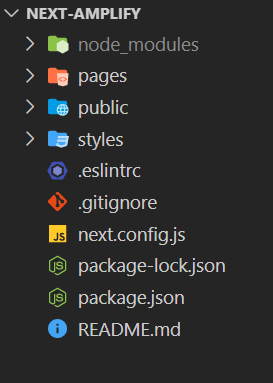 Next.js Porject structure